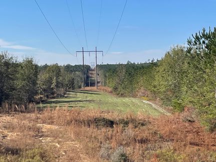 Farm and Ranch in Monroe County, Alabama