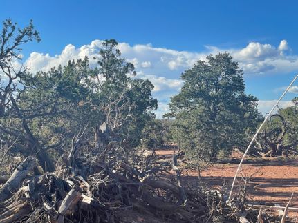 Recreational Property in Coconino County, Arizona