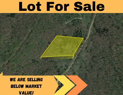 Undeveloped Land in Benton County, Missouri