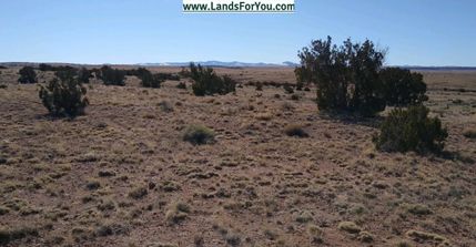 Farm and Ranch in Apache County, Arizona