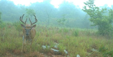 Recreational Property in Le Flore County, Oklahoma