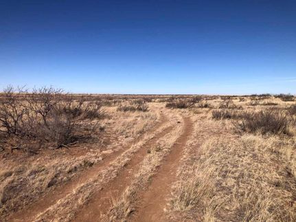 Timberland Property in Bailey County, Texas