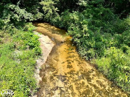 Hunting Property in Covington County, Alabama