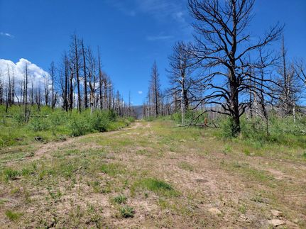 Hunting Property in Costilla County, Colorado