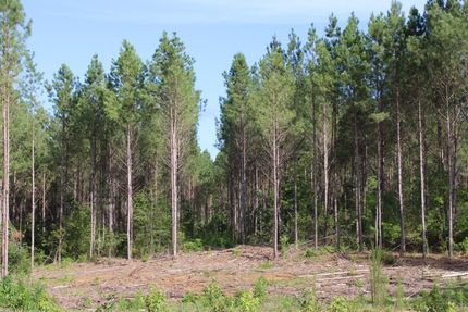 Land in Saluda County, South Carolina