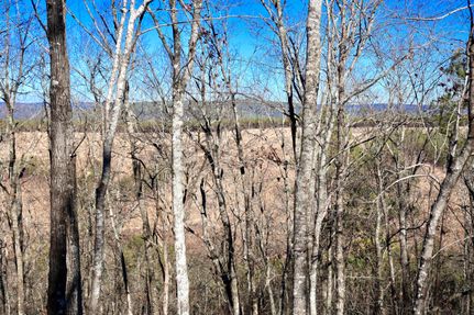 Undeveloped Land in Le Flore County, Oklahoma
