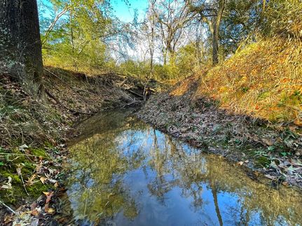 Timberland Property in Leon County, Texas