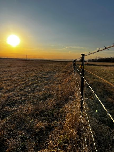 Farm and Ranch in Live Oak County, Texas