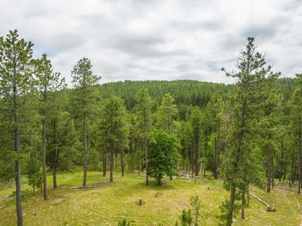 Land in Custer County, South Dakota