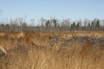 Recreational Property in Jefferson County, Arkansas