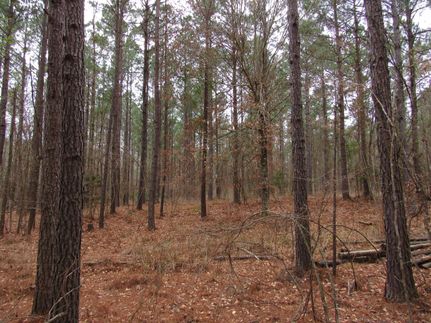 Commercial Property in Dallas County, Arkansas