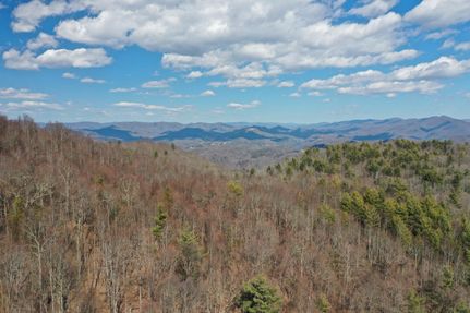 Timberland Property in Carter County, Tennessee