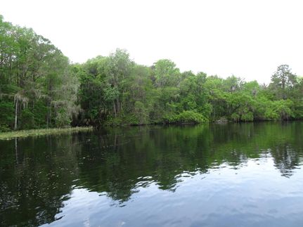 Oceanfront Property in Citrus County, Florida