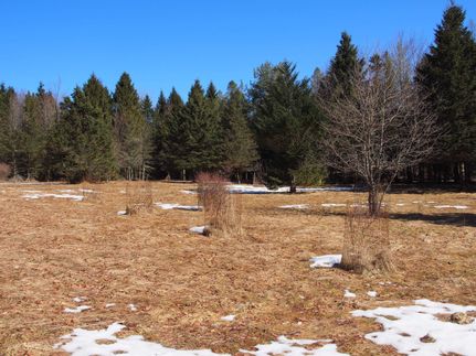 Recreational Property in Otsego County, New York