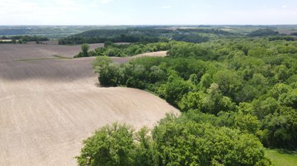 Undeveloped Land in Goodhue County, Minnesota