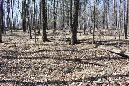 Recreational Property in Marinette County, Wisconsin
