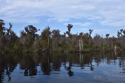 Lakefront Property in Putnam County, Florida