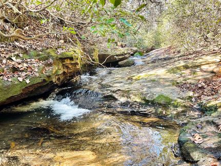 Timberland Property in Oconee County, South Carolina