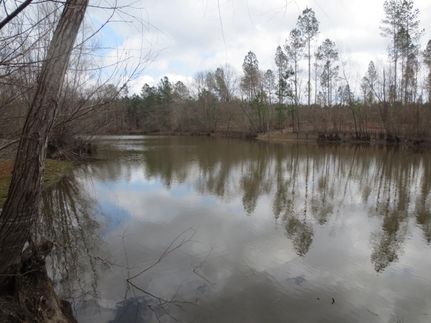 Commercial Property in Walthall County, Mississippi