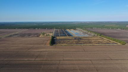 Hunting Property in Hyde County, North Carolina
