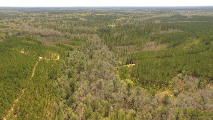 Farm and Ranch in Washington County, Alabama