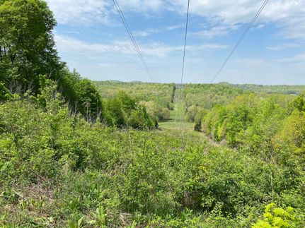 Recreational Property in Butler County, Kentucky