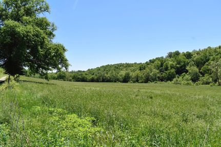 Farm and Ranch in Ozark County, Missouri