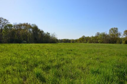 Timberland Property in Franklin County, Illinois