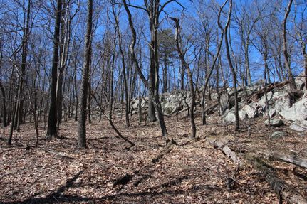Timberland Property in Shenandoah County, Virginia