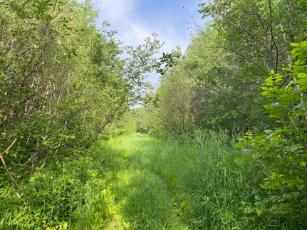 Land in Mille Lacs County, Minnesota