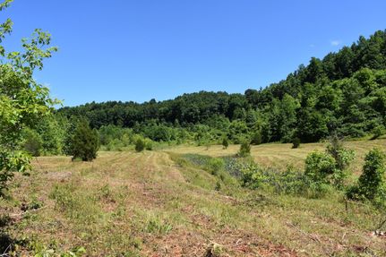 Timberland Property in Greenup County, Kentucky