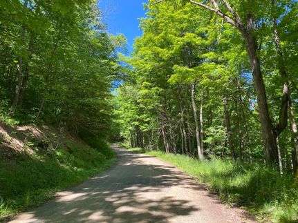 Timberland Property in McKean County, Pennsylvania