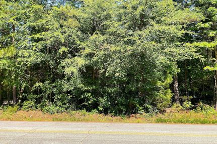 Timberland Property in Spartanburg County, South Carolina
