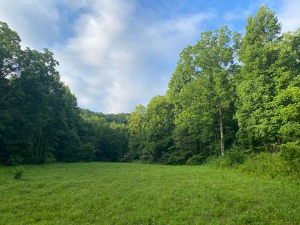 Timberland Property in Swain County, North Carolina