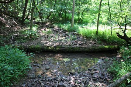 Recreational Property in Shenandoah County, Virginia