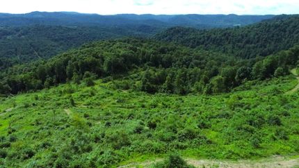 Undeveloped Land in Preston County, West Virginia