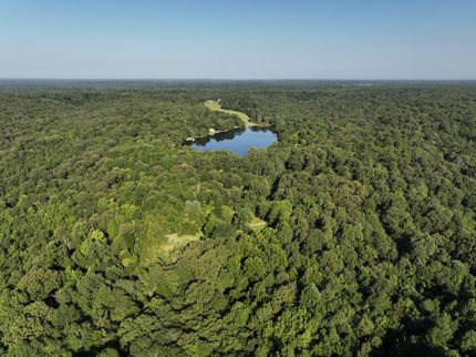 Timberland Property in Massac County, Illinois
