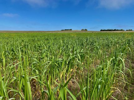 Farm and Ranch in Kimball County, Nebraska