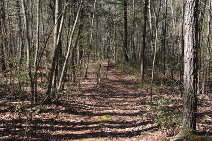 Hunting Property in Page County, Virginia