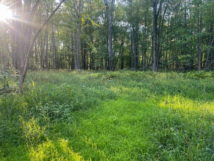 Timberland Property in Sanilac County, Michigan