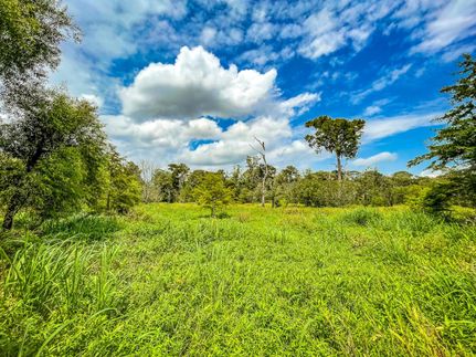 Timberland Property in Dillon County, South Carolina