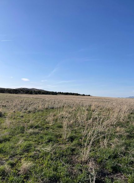 Farm and Ranch in Millard County, Utah