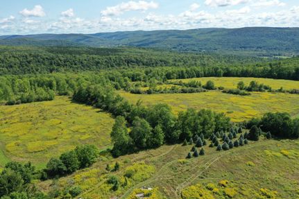 Timberland Property in Otsego County, New York