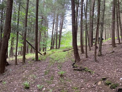 Commercial Property in Steuben County, New York