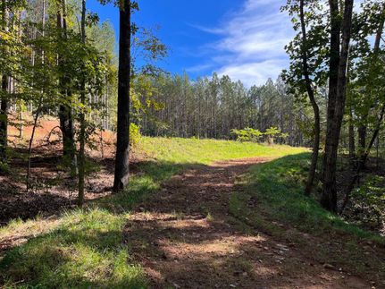 Timberland Property in Rutherford County, North Carolina