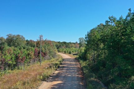 Timberland Property in Yalobusha County, Mississippi