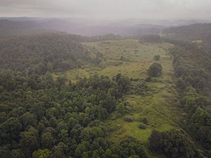 Farm and Ranch in Barbour County, West Virginia