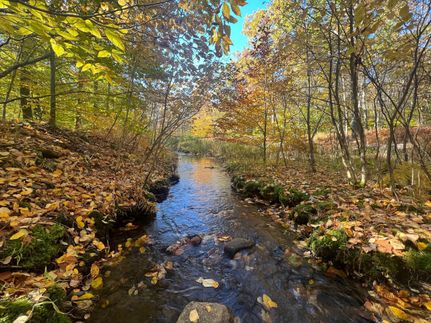 Land in Wayne County, Pennsylvania