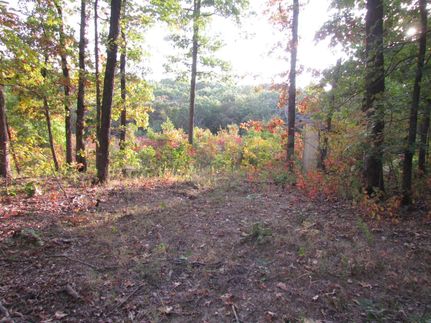 Recreational Property in Miller County, Missouri