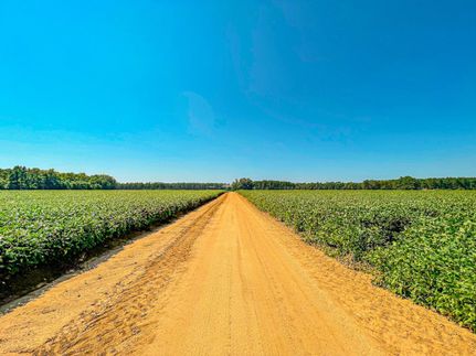 Undeveloped Land in Dillon County, South Carolina